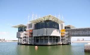 The Oceanarium in Lisbon